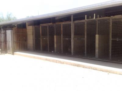 Yard no.3