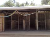 Front shelter