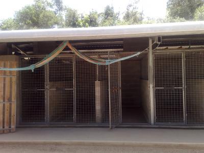 Front shelter
