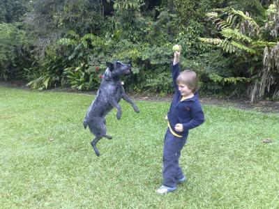 Jacob and Panda playing ball