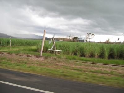 Cyclone Larry snapped power pole.